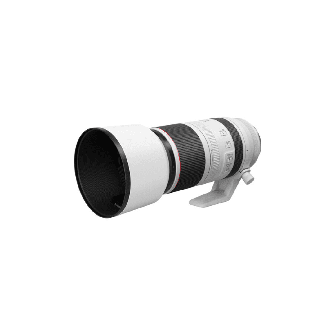 Canon RF 100-500mm f/4.5-7.1 L IS USM Lens