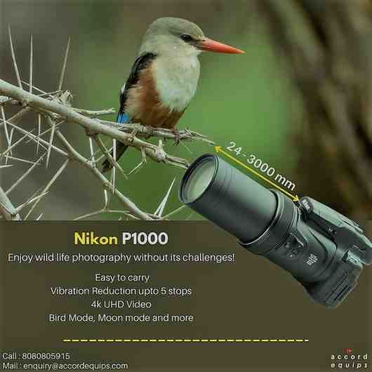 Nikon P1000